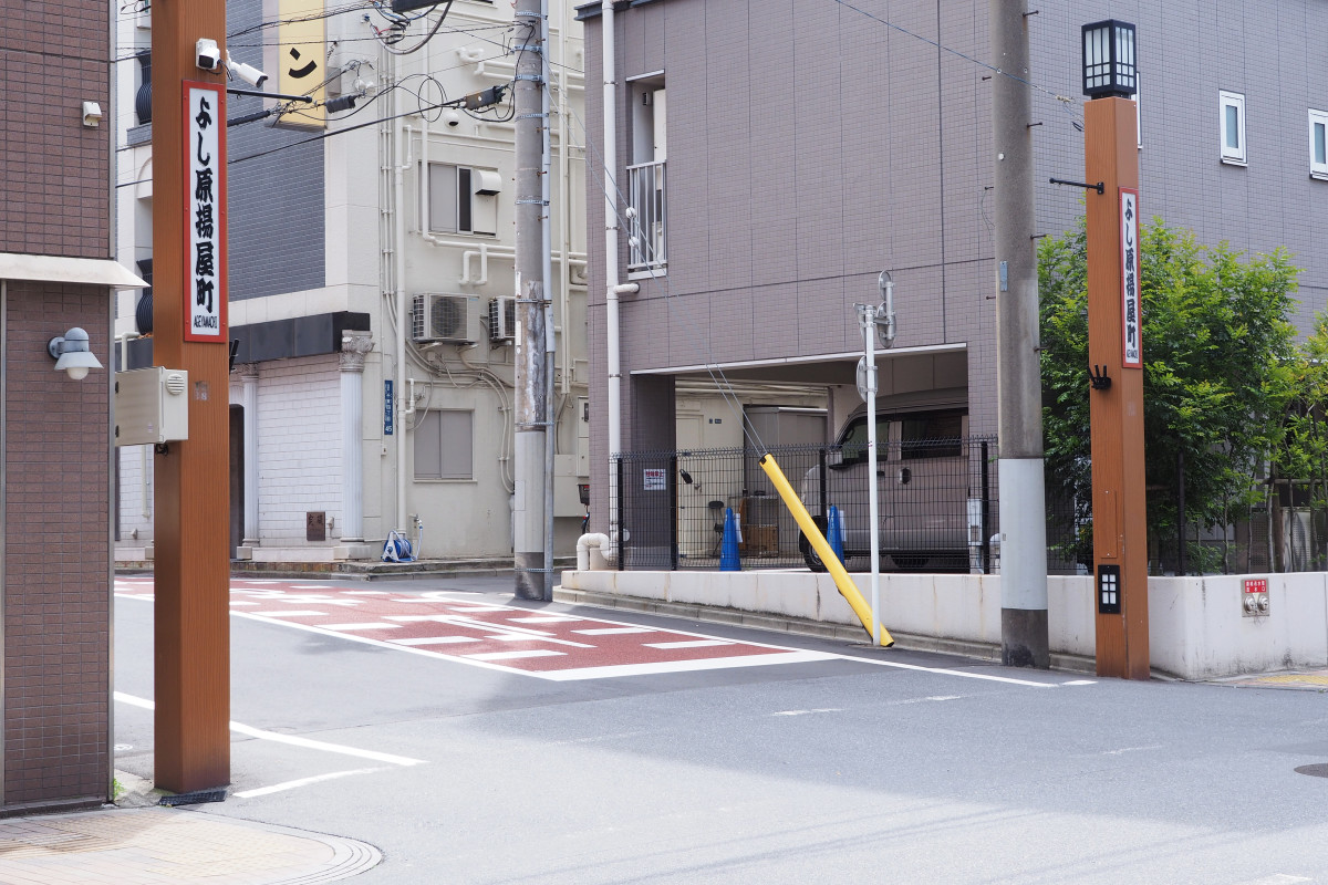 建物と比較すると高低差がわかりやすい。